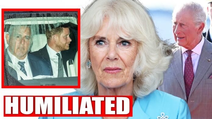 maxresdgfdgfdgdfdefault