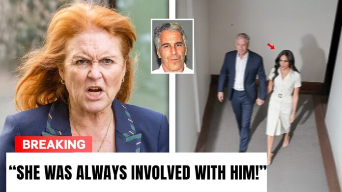 maxresdgfgfdhgfsdefault