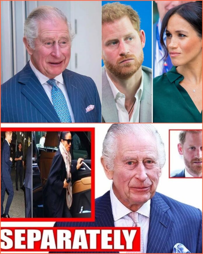 565306621_122124850862979637_80333056048450967_n