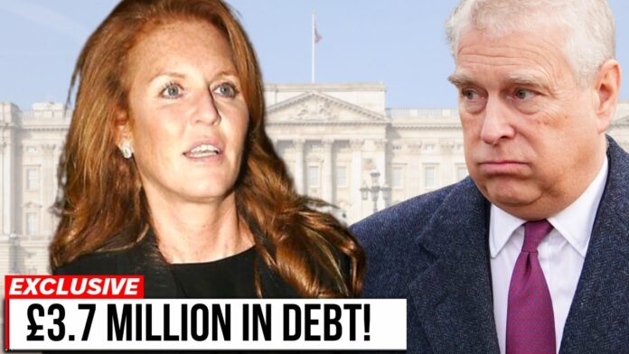 maxresdgdfgdfsdefault